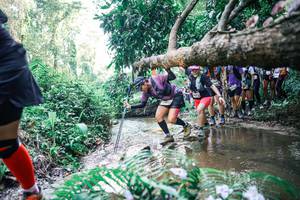 BIB: 
                            <button type="button" onclick="openModal(25465888)" class="btn btn-primary btn-sm float-right btn-popup" data-toggle="modal" data-target=".modal-high-quality">
                        <i class="fas fa-shopping-cart"></i> Add to Cart
                    </button>
                                            <button type="button" onclick="isThisMe(25465888, true)" class="btn btn-success btn-sm float-right btn-popup btn-isme hidden" data-toggle="tooltip" data-placement="bottom" title="นี่คือรูปของคุณใช่ไหม คลิกที่นี่เพื่อเอาเข้าอัลบั้ม">
                        <i class="fas fa-plus"></i> Add to album
                    </button>
                    <button type="button" onclick="isThisMe(25465888, false)" class="btn btn-warning btn-sm float-right btn-popup btn-isnotme hidden">
                        <i class="fas fa-ban"></i> Remove from album
                    </button>